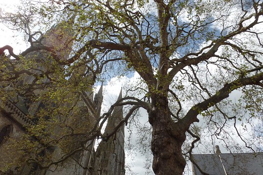 Tour image 6